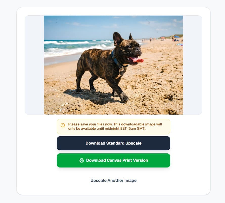 ReadyPrintAI instant download interface for 300 DPI files
